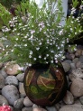 Softpots at Grove House