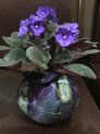 Softpots at Grove House