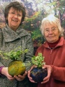 SoftPots in York