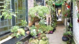 SoftPots in York